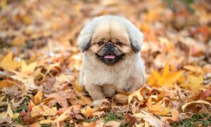 調乳ポットのおすすめ商品はどれですか？