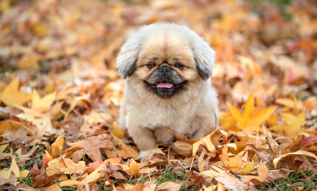 会話間のスワイプとはどのような機能で、どんなメリットがあるの？