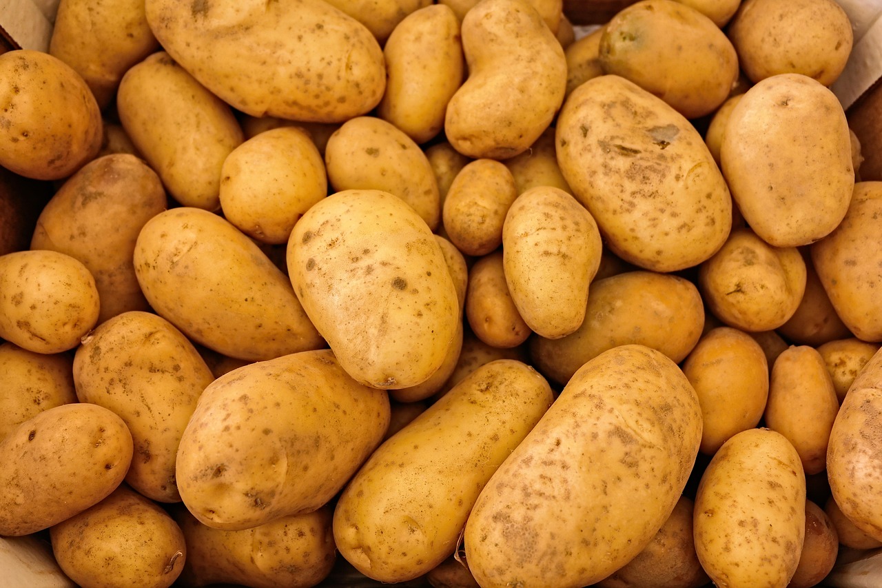 食洗機と手洗い、どちらが本当に便利で衛生的なのか？