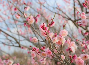 with年齢層別に楽しめるアクティビティは？