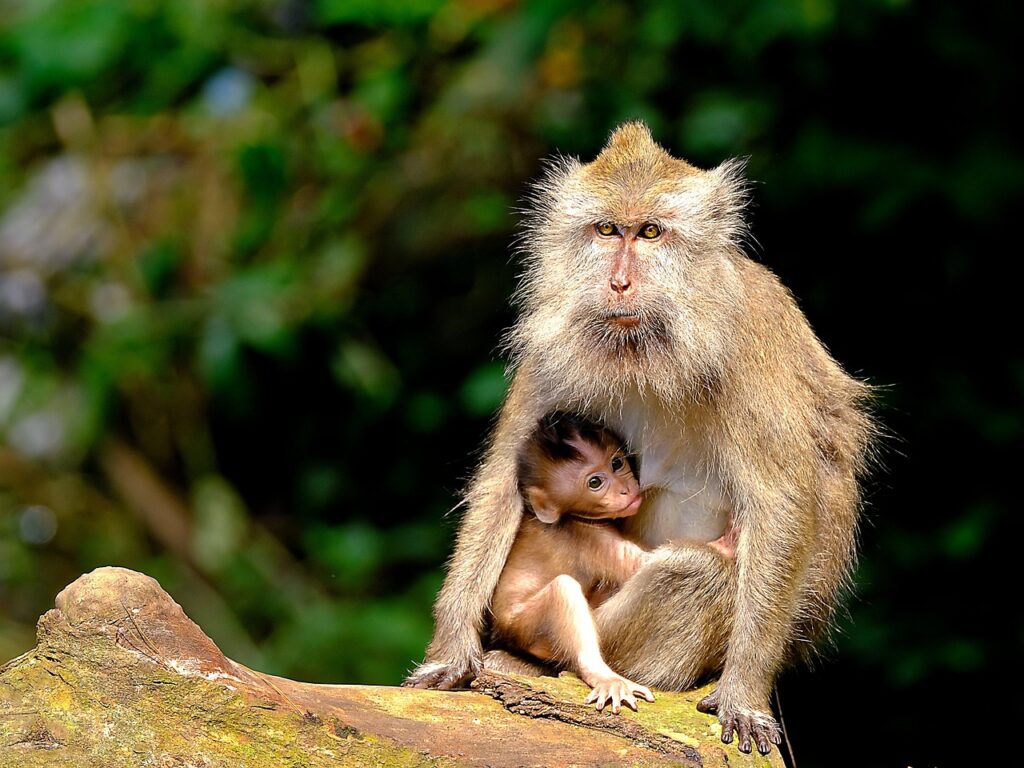 ワンオペ育児のママにおすすめの時短グッズは？