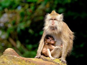 ワンオペ育児のママにおすすめの時短グッズは？