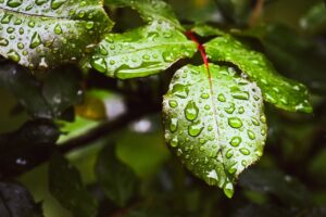 お風呂上がりの子どもに最適な保湿時短グッズは？