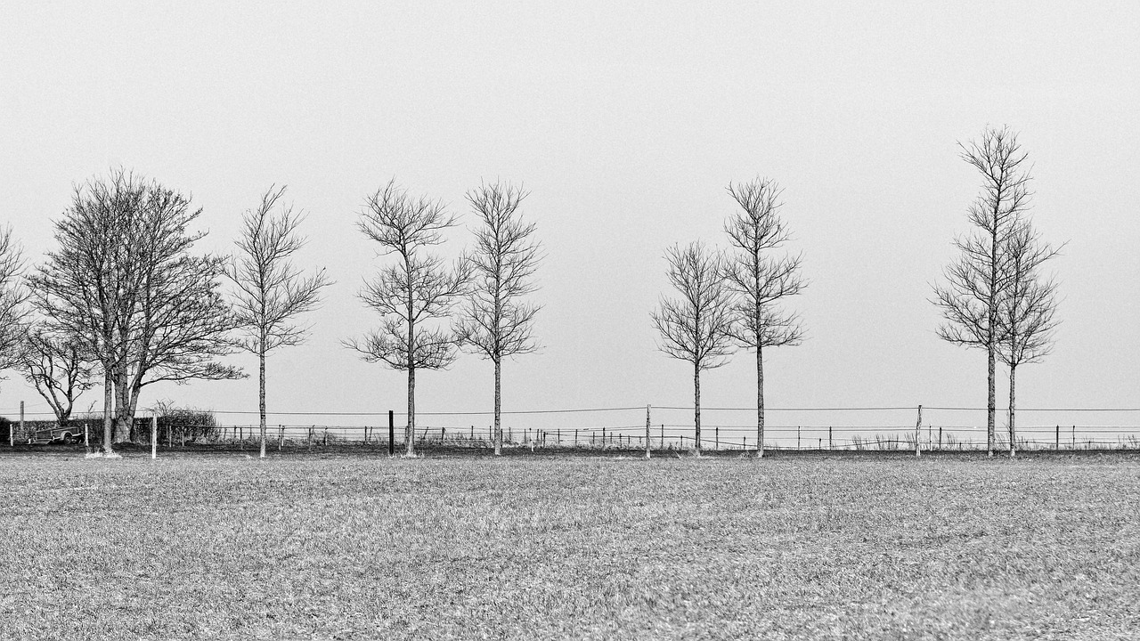 下味冷凍を活用したママの時短料理で失敗しないコツは？