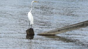 ベビーシッターに家事をどこまで頼めるママの悩みとは？