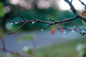 水切りカゴを置かないで片付けを時短するママのアイデアは？