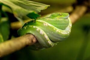 ミルクウォーマーは夜間授乳をするママにとって必要か？