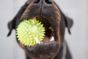 時短グッズを購入する際に知っておくべきポイントは？