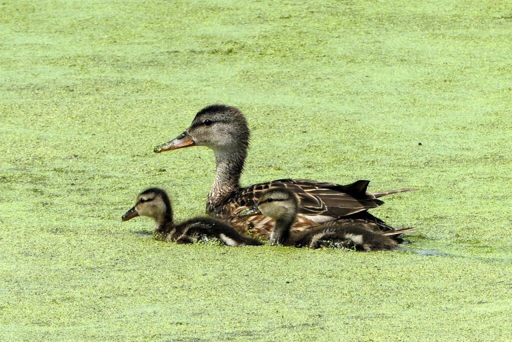 育児の失敗談から学ぶ、あなたの子育てに役立つポイントは？